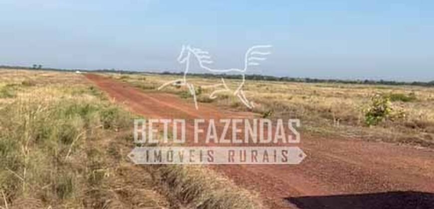 Área Agrícola Extensa e Produtiva à Venda 2.190 hectares | Serra Nova Dourada/MT Área Agrícola Extensa e Produtiva à Venda 2.190 hectares | Serra Nova Dourada/MT