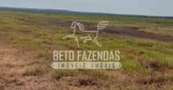 Área Agrícola Extensa e Produtiva à Venda 2.190 hectares | Serra Nova Dourada/MT Área Agrícola Extensa e Produtiva à Venda 2.190 hectares | Serra Nova Dourada/MT