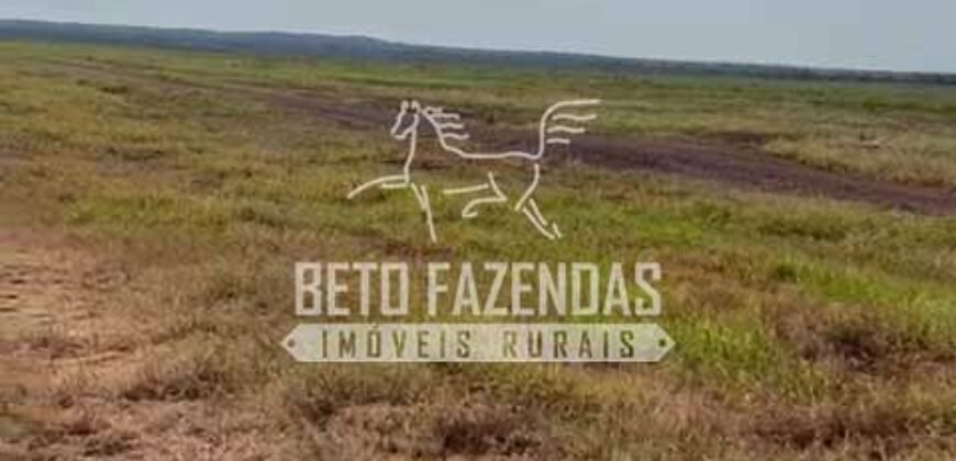 Área Agrícola Extensa e Produtiva à Venda 2.190 hectares | Serra Nova Dourada/MT Área Agrícola Extensa e Produtiva à Venda 2.190 hectares | Serra Nova Dourada/MT