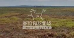 Área Agrícola Extensa e Produtiva à Venda 2.190 hectares | Serra Nova Dourada/MT Área Agrícola Extensa e Produtiva à Venda 2.190 hectares | Serra Nova Dourada/MT