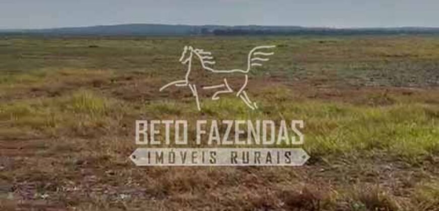 Área Agrícola Extensa e Produtiva à Venda 2.190 hectares | Serra Nova Dourada/MT Área Agrícola Extensa e Produtiva à Venda 2.190 hectares | Serra Nova Dourada/MT