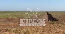 Área Agrícola Extensa e Produtiva à Venda 2.190 hectares | Serra Nova Dourada/MT Área Agrícola Extensa e Produtiva à Venda 2.190 hectares | Serra Nova Dourada/MT