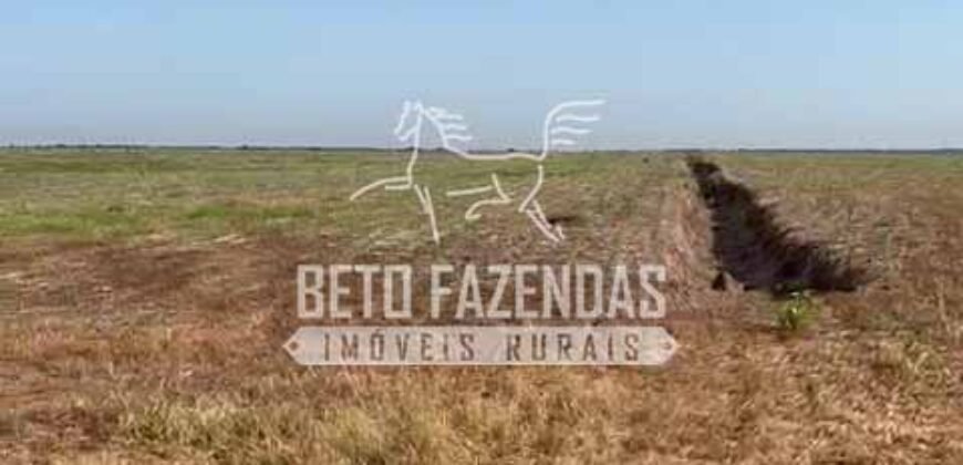 Área Agrícola Extensa e Produtiva à Venda 2.190 hectares | Serra Nova Dourada/MT Área Agrícola Extensa e Produtiva à Venda 2.190 hectares | Serra Nova Dourada/MT