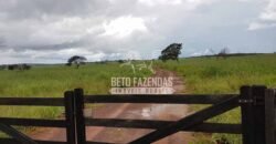 Venda de 3 Fazendas total de 3.150 has Pecuária e Lavoura | Paranatinga/MT Venda de 3 Fazendas total de 3.150 has Pecuária e Lavoura | Paranatinga/MT