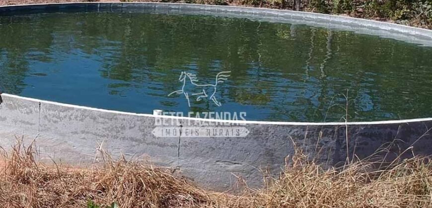 Venda de 3 Fazendas total de 3.150 has Pecuária e Lavoura | Paranatinga/MT Venda de 3 Fazendas total de 3.150 has Pecuária e Lavoura | Paranatinga/MT