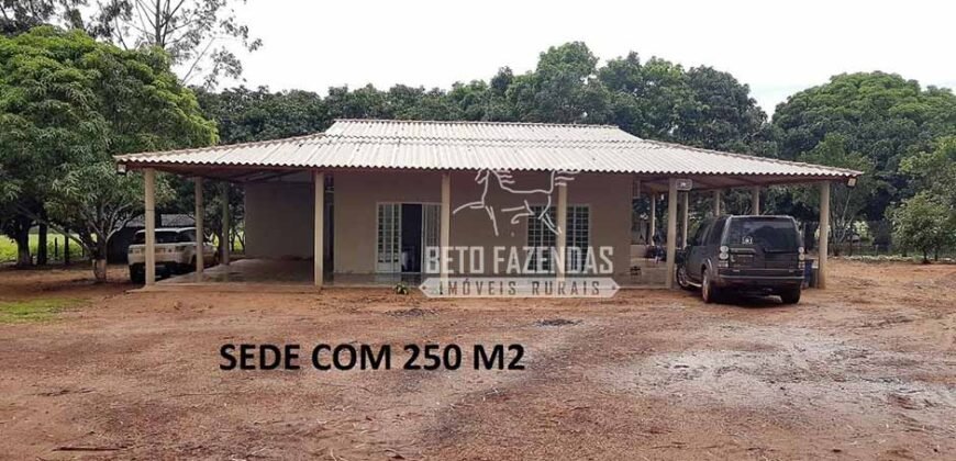 Venda de 3 Fazendas total de 3.150 has Pecuária e Lavoura | Paranatinga/MT Venda de 3 Fazendas total de 3.150 has Pecuária e Lavoura | Paranatinga/MT