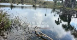 Fazenda Extensiva 3.150 has com Alto Potencial no Norte de Minas | Boacaiúva/ MG Fazenda Extensiva 3.150 has com Alto Potencial no Norte de Minas | Boacaiúva/ MG