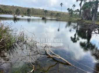 Fazenda Extensiva 3.150 has com Alto Potencial no Norte de Minas | Boacaiúva/ MG