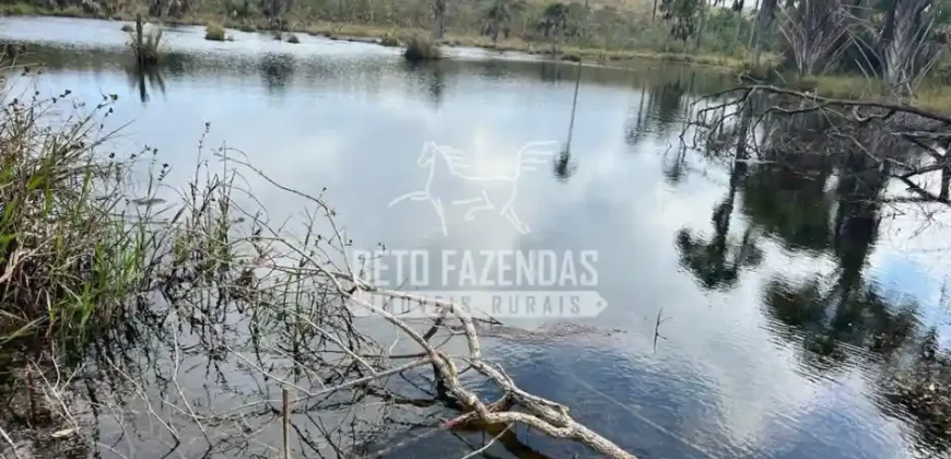 Fazenda Extensiva 3.150 has com Alto Potencial no Norte de Minas | Boacaiúva/ MG