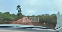 Fazenda Extensiva 3.150 has com Alto Potencial no Norte de Minas | Boacaiúva/ MG Fazenda Extensiva 3.150 has com Alto Potencial no Norte de Minas | Boacaiúva/ MG