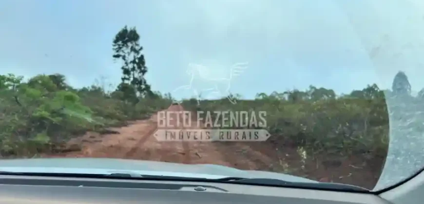 Fazenda Extensiva 3.150 has com Alto Potencial no Norte de Minas | Boacaiúva/ MG
