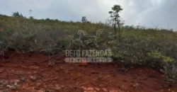 Fazenda Extensiva 3.150 has com Alto Potencial no Norte de Minas | Boacaiúva/ MG Fazenda Extensiva 3.150 has com Alto Potencial no Norte de Minas | Boacaiúva/ MG