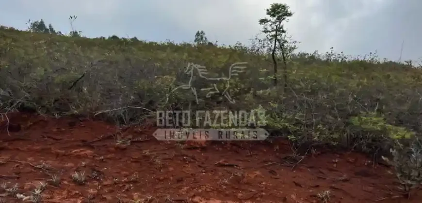 Fazenda Extensiva 3.150 has com Alto Potencial no Norte de Minas | Boacaiúva/ MG