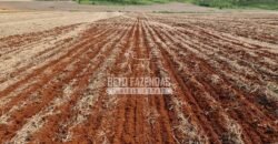 Venda de 3 Fazendas total de 3.150 has Pecuária e Lavoura | Paranatinga/MT Venda de 3 Fazendas total de 3.150 has Pecuária e Lavoura | Paranatinga/MT