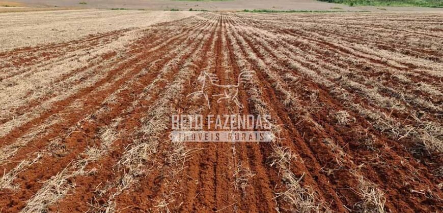 Venda de 3 Fazendas total de 3.150 has Pecuária e Lavoura | Paranatinga/MT Venda de 3 Fazendas total de 3.150 has Pecuária e Lavoura | Paranatinga/MT