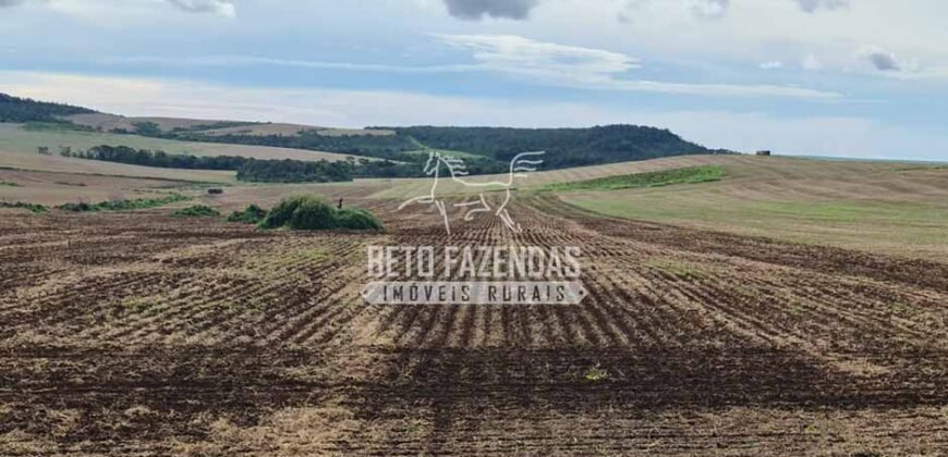 Venda de 3 Fazendas total de 3.150 has Pecuária e Lavoura | Paranatinga/MT Venda de 3 Fazendas total de 3.150 has Pecuária e Lavoura | Paranatinga/MT