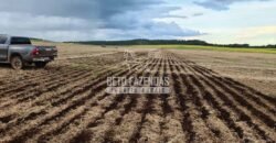 Venda de 3 Fazendas total de 3.150 has Pecuária e Lavoura | Paranatinga/MT Venda de 3 Fazendas total de 3.150 has Pecuária e Lavoura | Paranatinga/MT