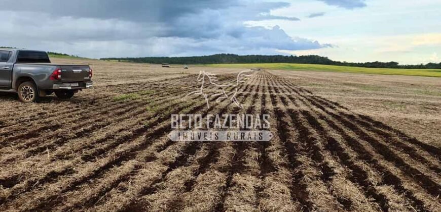 Venda de 3 Fazendas total de 3.150 has Pecuária e Lavoura | Paranatinga/MT Venda de 3 Fazendas total de 3.150 has Pecuária e Lavoura | Paranatinga/MT