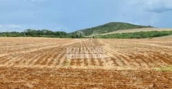 Venda de 3 Fazendas total de 3.150 has Pecuária e Lavoura | Paranatinga/MT Venda de 3 Fazendas total de 3.150 has Pecuária e Lavoura | Paranatinga/MT