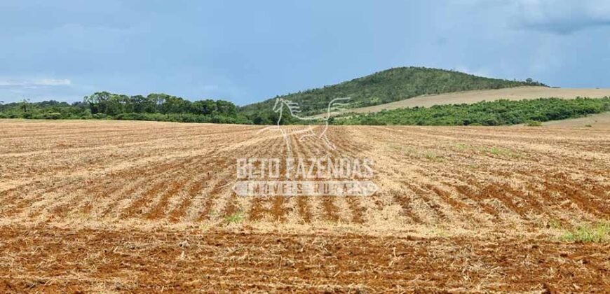 Venda de 3 Fazendas total de 3.150 has Pecuária e Lavoura | Paranatinga/MT Venda de 3 Fazendas total de 3.150 has Pecuária e Lavoura | Paranatinga/MT