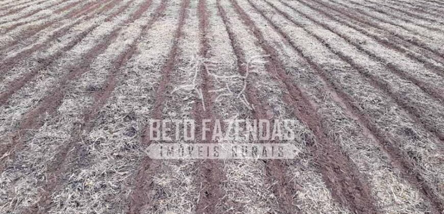 Fazenda Produtiva à Venda 1.700 hectares | Região de Itaúba/MT