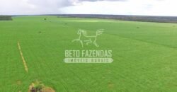Fazenda Produtiva à Venda 1.700 hectares | Região de Itaúba/MT