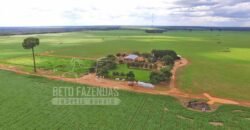 Fazenda Produtiva à Venda 1.700 hectares | Região de Itaúba/MT