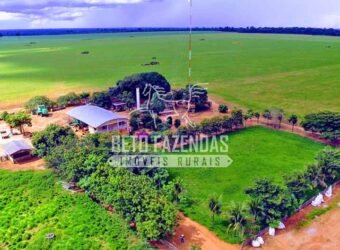 Fazenda Produtiva à Venda 1.700 hectares | Região de Itaúba/MT Fazenda Produtiva à Venda 1.700 hectares | Região de Itaúba/MT