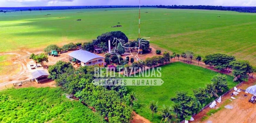 Fazenda Produtiva à Venda 1.700 hectares | Região de Itaúba/MT