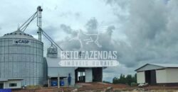 Fazenda Agrícola Soja à Venda 3.700 has entre Campo Verde e Planalto da Serra/MT