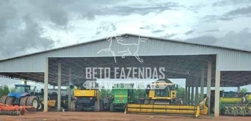 Fazenda Agrícola Soja à Venda 3.700 has entre Campo Verde e Planalto da Serra/MT