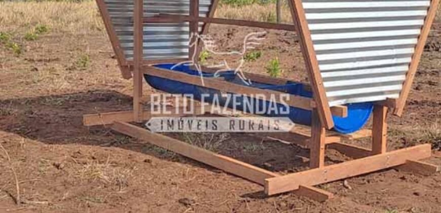 Venda de 3 Fazendas total de 3.150 has Pecuária e Lavoura | Paranatinga/MT Venda de 3 Fazendas total de 3.150 has Pecuária e Lavoura | Paranatinga/MT