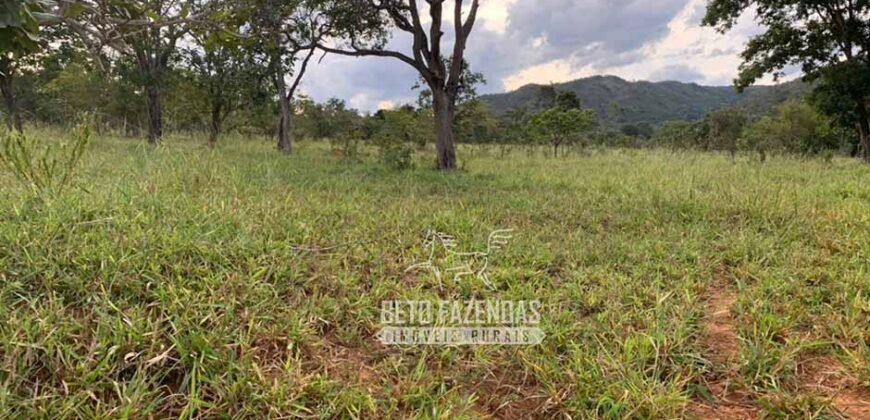 Fazenda à Venda com 212,18ha para Pecuária | Paracatu/MG
