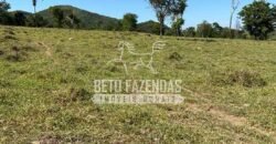 Fazenda à Venda com 212,18ha para Pecuária | Paracatu/MG