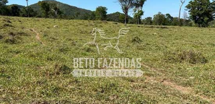 Fazenda à Venda com 212,18ha para Pecuária | Paracatu/MG