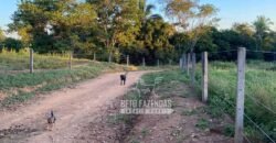Fazenda à Venda com 212,18ha para Pecuária | Paracatu/MG