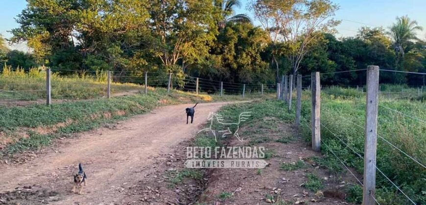 Fazenda à Venda com 212,18ha para Pecuária | Paracatu/MG