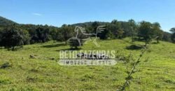 Fazenda à Venda com 212,18ha para Pecuária | Paracatu/MG