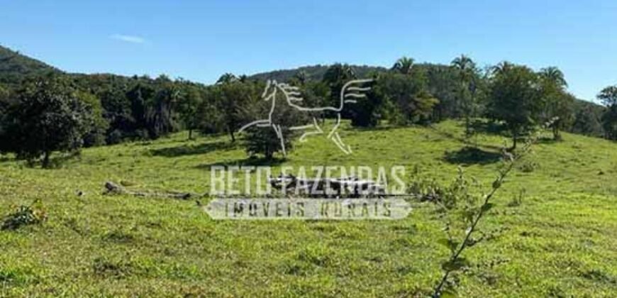 Fazenda à Venda com 212,18ha para Pecuária | Paracatu/MG