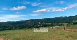 Fazenda à Venda com 212,18ha para Pecuária | Paracatu/MG