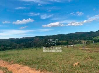 Fazenda à Venda com 212,18ha para Pecuária | Paracatu/MG Fazenda à Venda com 212,18ha para Pecuária | Paracatu/MG