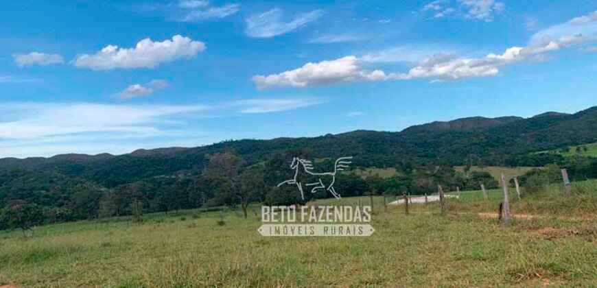Fazenda à Venda com 212,18ha para Pecuária | Paracatu/MG