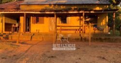 Fazenda à Venda com 212,18ha para Pecuária | Paracatu/MG