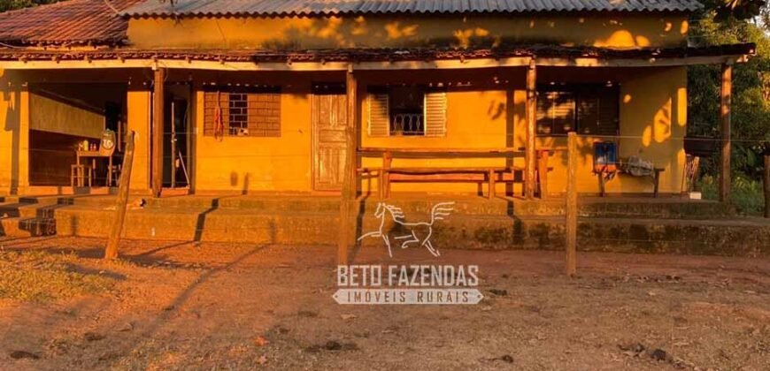 Fazenda à Venda com 212,18ha para Pecuária | Paracatu/MG