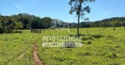 Fazenda à Venda com 212,18ha para Pecuária | Paracatu/MG