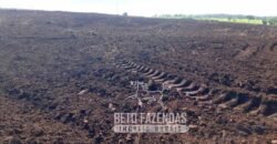 Venda de Fazenda Produtiva 1.678 hectares | Ribeirão Cascalheira/MT