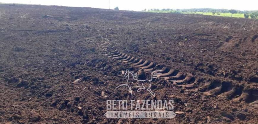 Venda de Fazenda Produtiva 1.678 hectares | Ribeirão Cascalheira/MT