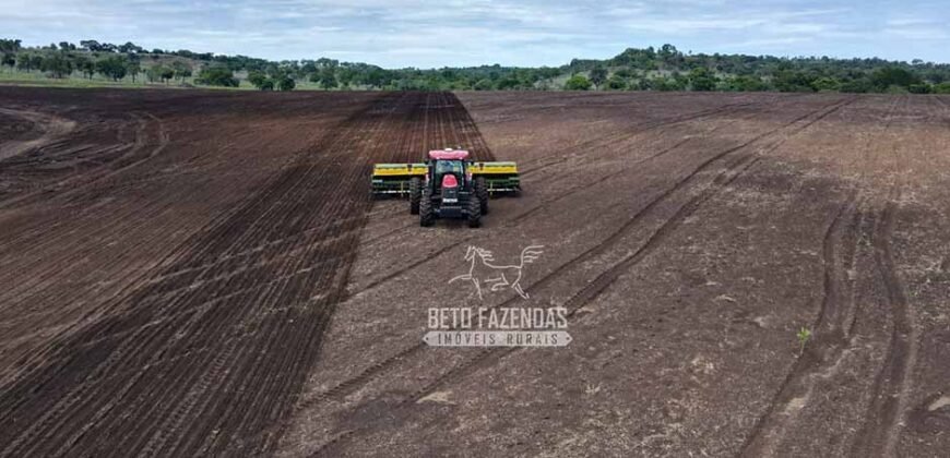 Venda de Fazenda Produtiva 1.678 hectares | Ribeirão Cascalheira/MT