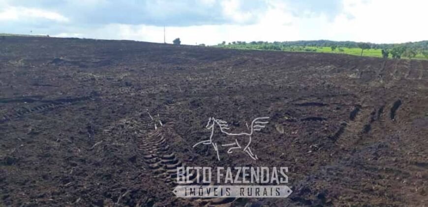 Venda de Fazenda Produtiva 1.678 hectares | Ribeirão Cascalheira/MT