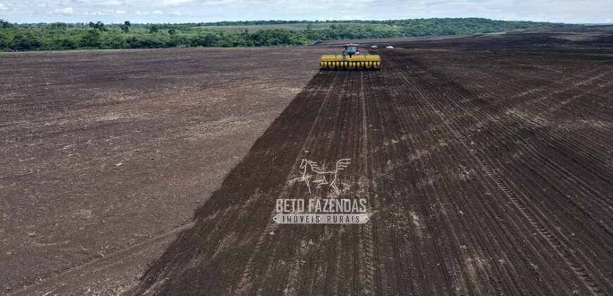 Venda de Fazenda Produtiva 1.678 hectares | Ribeirão Cascalheira/MT